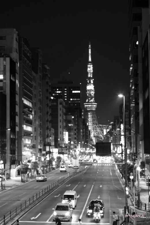Tokyo entre tradition et modernisme